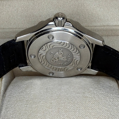 Omega Seamaster Vintage 300 m ladies watch