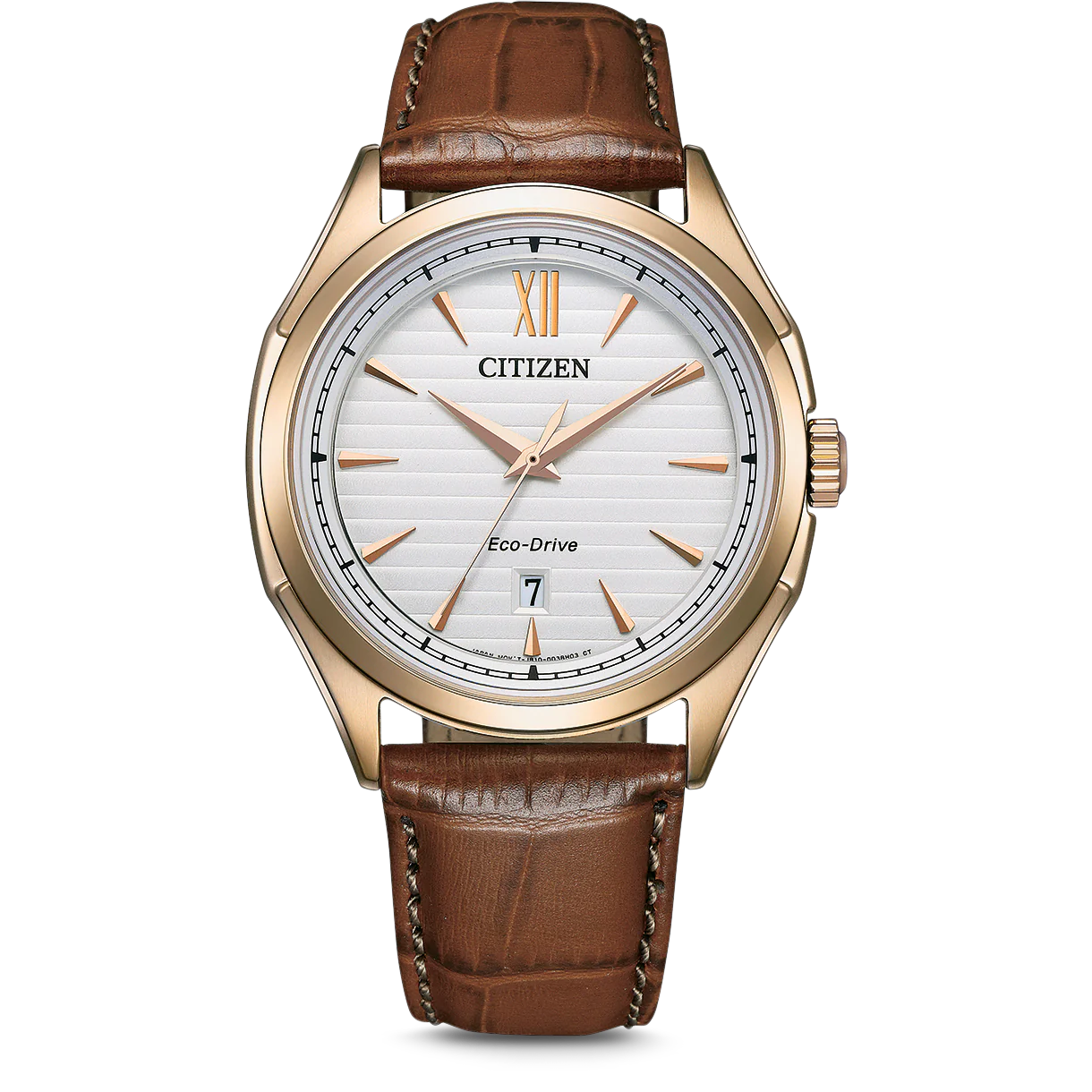 Citizen Eco-Drive Men's Watch AW1753-10A