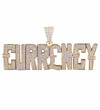 Iced Money Silver  Pendant (Large)